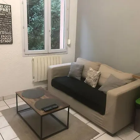 Apartment « le Petit Bastille»proche Lyon Centre *