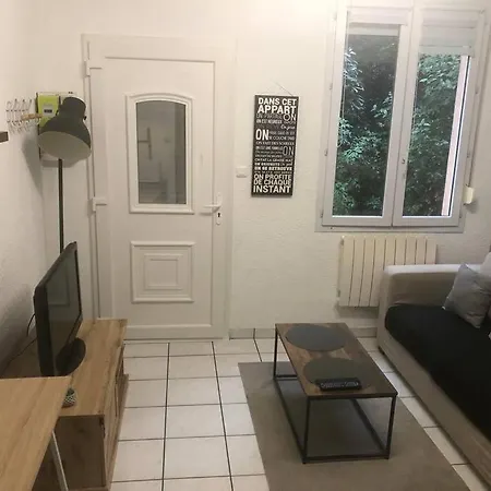 « le Petit Bastille»proche Lyon Centre Apartment Villeurbanne
